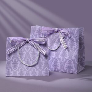 Custom Luxury Paper Gift Bag Manufacturer | OEM Retail Packaging Factory