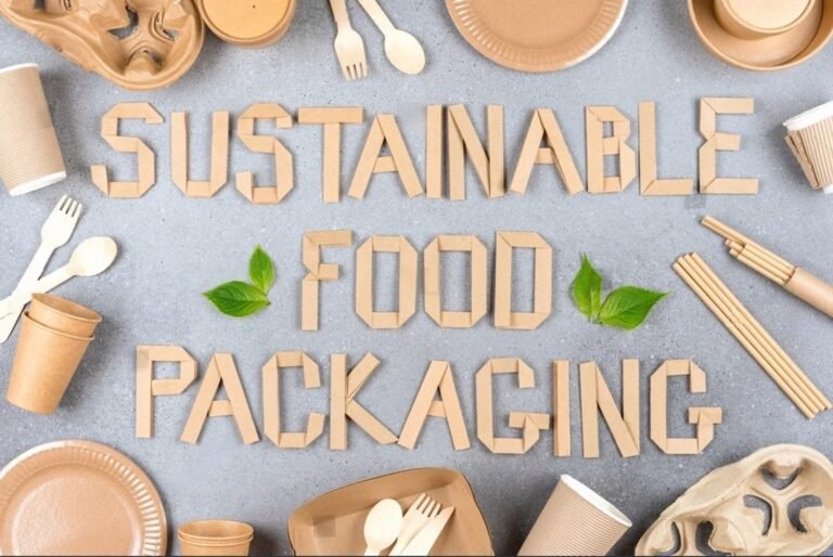 Eco-Friendly Food Containers: A Guide for Cafés & Restaurants