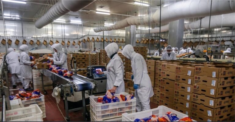 Food-Grade Packaging: What Every Restaurant Owner Should Know